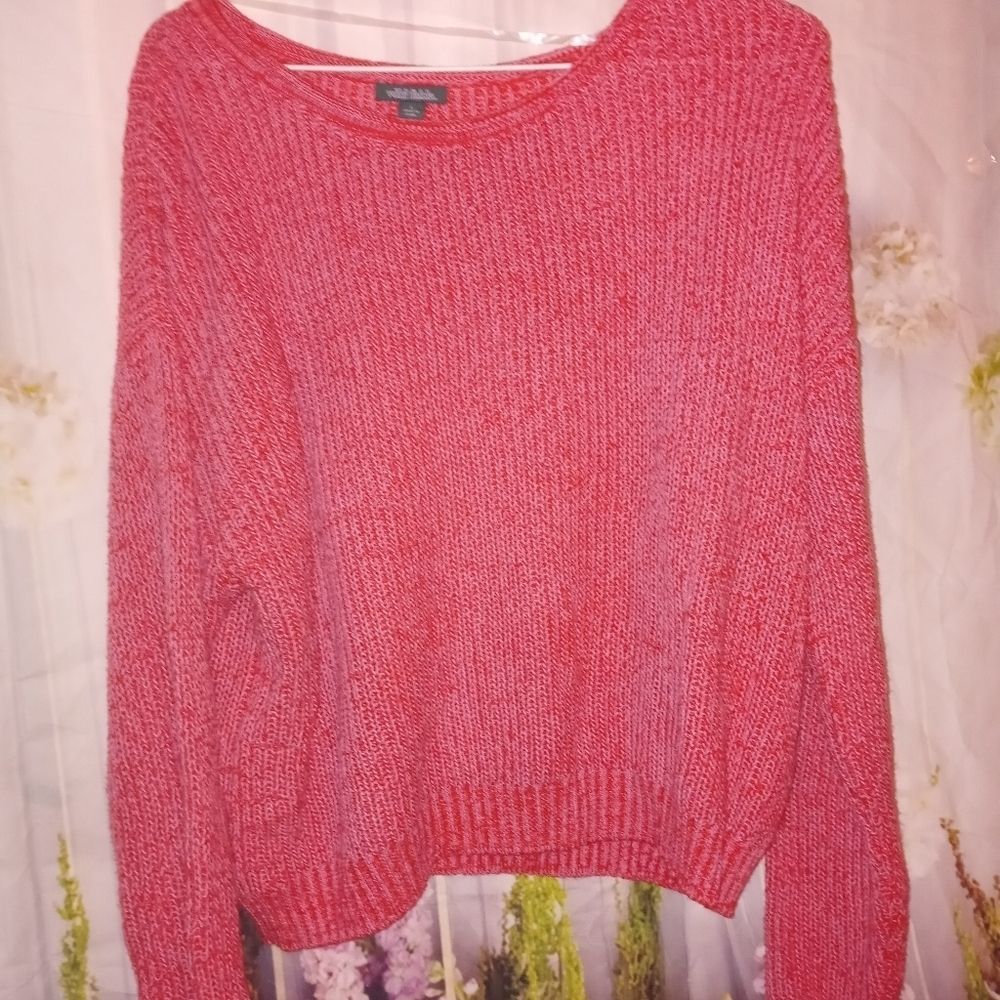 NWT Wild Fable Raglan Cropped Sweater